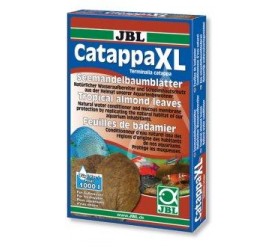 JBL CATAPPA XL+