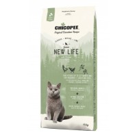 Chicopee KITTEN