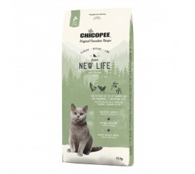 Chicopee KITTEN