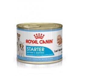 Royal Canin STARTER MOUSSE