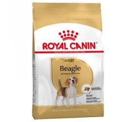 Royal Canin BEAGLE ADULT
