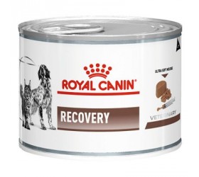 Royal Canin RECOVERY CAT