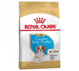 Royal Canin CAVALIER KING CHARLES PUPPY