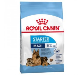 Royal Canin MAXI STARTER