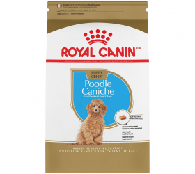 Royal Canin POODLE PUPPY