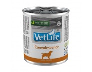 Vet Life CONVALESCENCE DOG