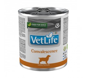 Vet Life CONVALESCENCE DOG