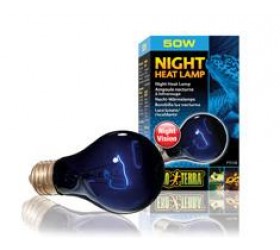 Exo Terra NIGHT HEAT LAMP 50W